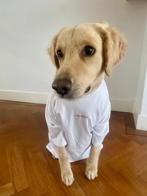 T-shirt UUUUUU Wit